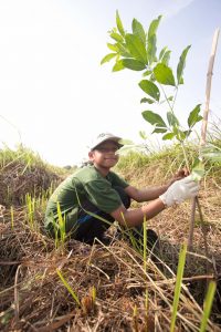 A student showing off her ‘Tenggek Burung’ tree
