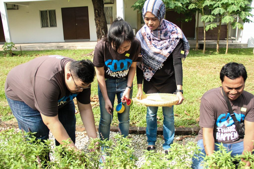 Fresh Basil leaves were harvested from the YWCA’s edible garden and immediately prepared to be made into pesto paste