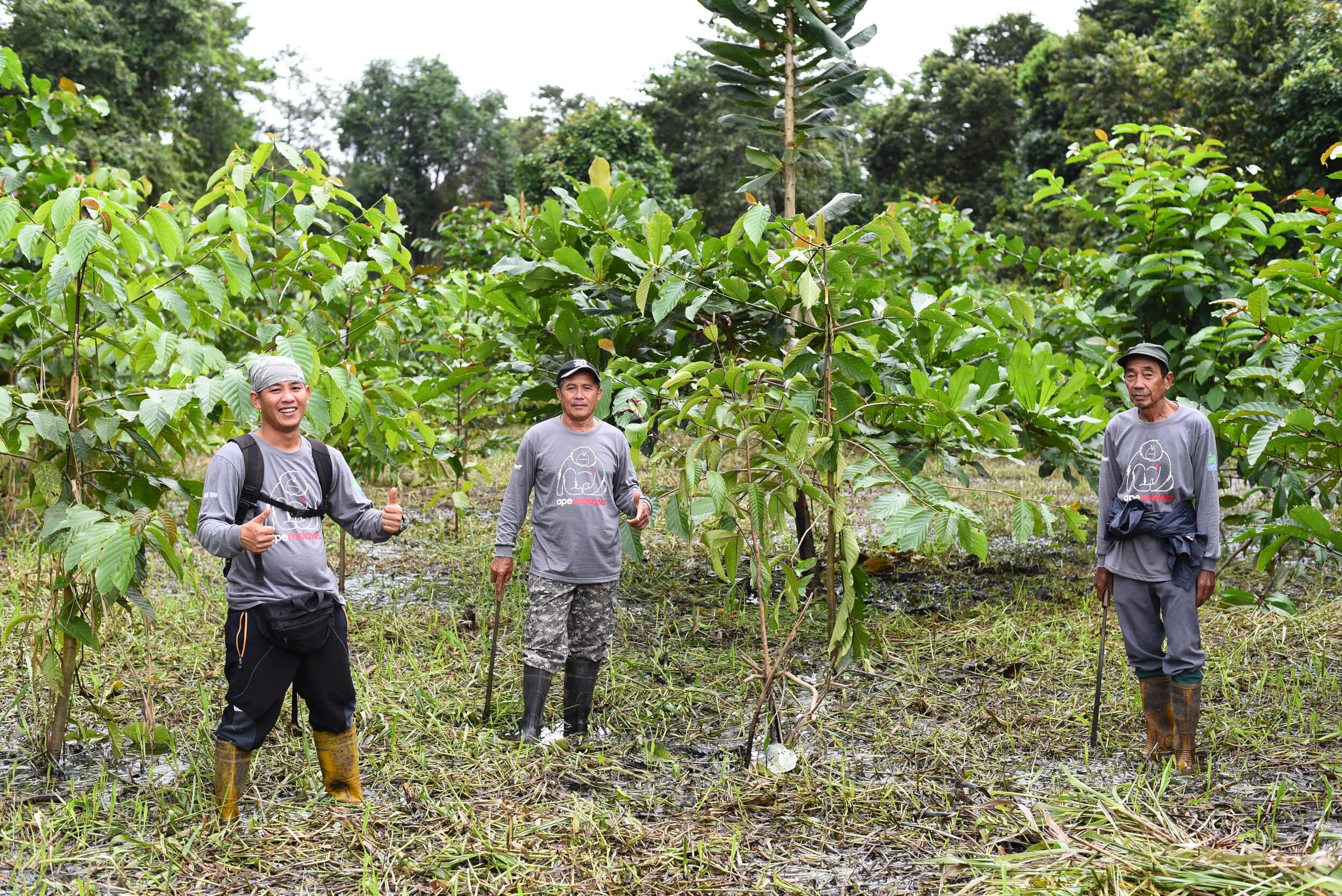 Photo 1_Chubb has successfully planted 220 trees via APE Malaysia’s ROAR Programme. Chubb’s “More Trees for A Better Tomorrow Project” Supports Reforestation Efforts in Borneo