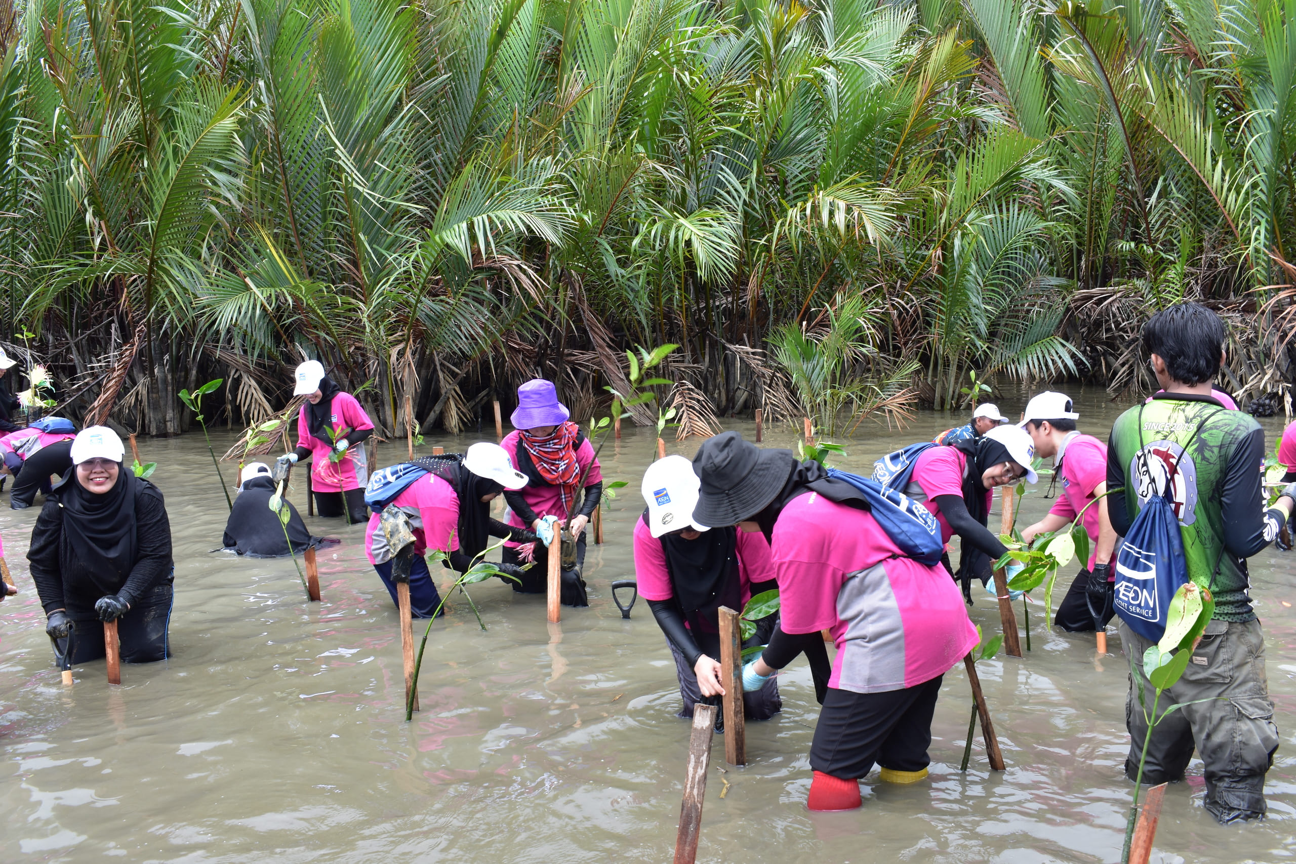AEON Credit: 10,000 Trees for Carbon and Biodiversity in Kinta Park by September 2024