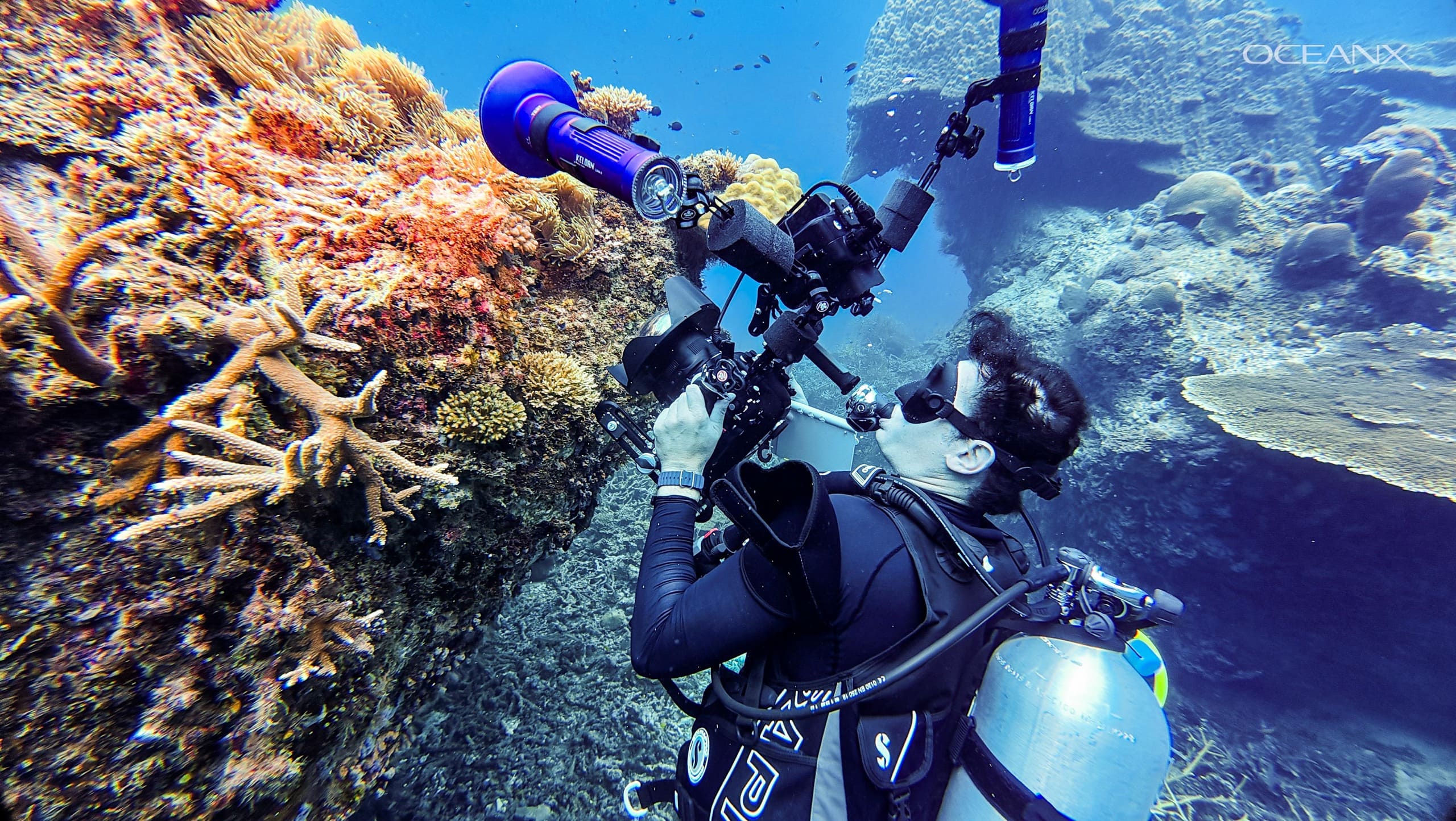 SCUBA visual survey methods