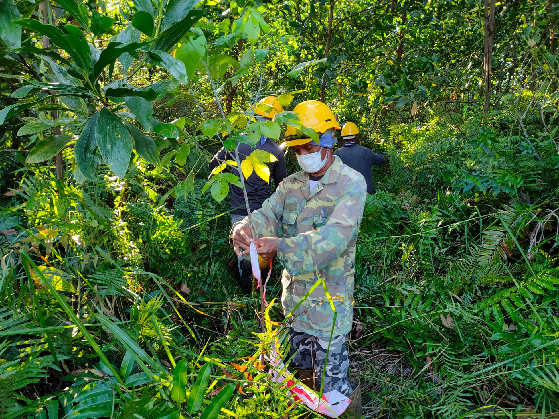 Rebuilding Pahang’s Peatlands Through Sustainable Action – GEC’s and YPPH’s Successful Initiative