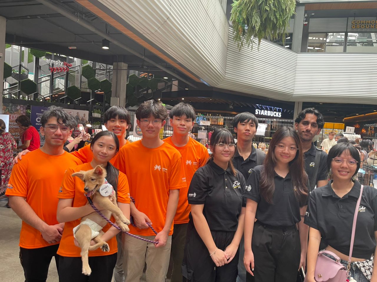 Second Chance Animal Society with The Square by Jaya One and Wildlife Department of Sunway Student Volunteers (SSV) Collaborate to Give Hope to Homeless Animals 